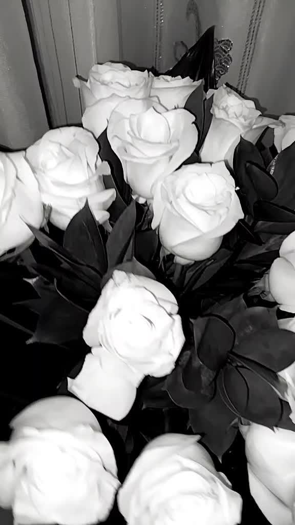 Starlight Serenity Exquisite Petal Array
